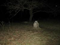 Chicago Ghost Hunters Group investigates Bachelors Grove (8).JPG